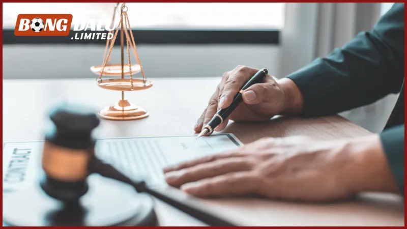 Quyền và trách nhiệm của các bên tham gia Bongdalu