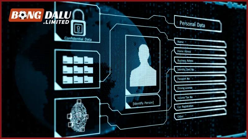 Một số quy định cơ bản cần nắm về dữ liệu người dùng trên trang web