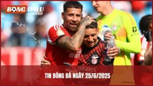 tin bóng đá ngày 25/6/2025