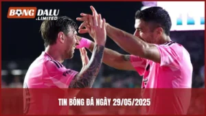 Tin bóng đá ngày 29/05/2025